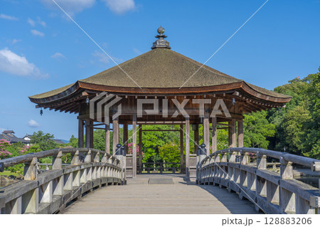 夏の朝　奈良公園　浮世堂 128883206