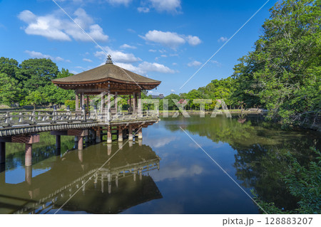 夏の朝　奈良公園　浮世堂　リフレクション 128883207