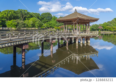 夏の朝　奈良公園　浮世堂　リフレクション 128883211