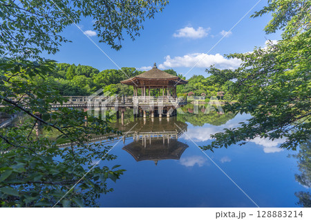 夏の朝　奈良公園　浮世堂　リフレクション 128883214