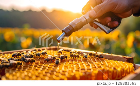 Adding Fuel to Beehive 128883365