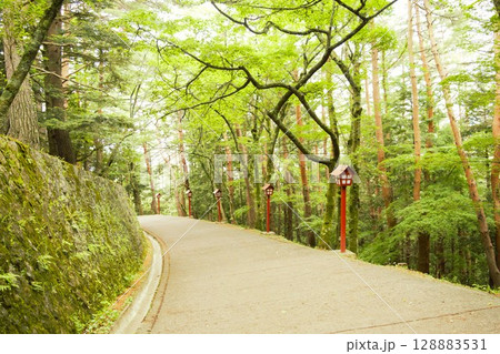 新倉山浅間公園　山梨県 128883531