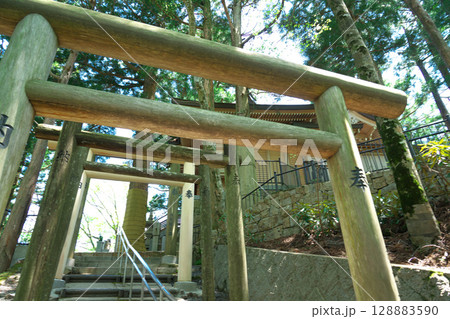 立里荒神社参道の鳥居と初夏の日差し2　奈良県吉野郡野迫川村 128883590