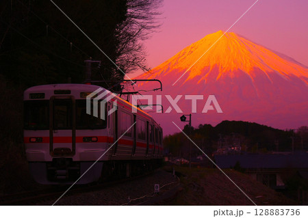 JR身延線　普通列車（313系） 128883736