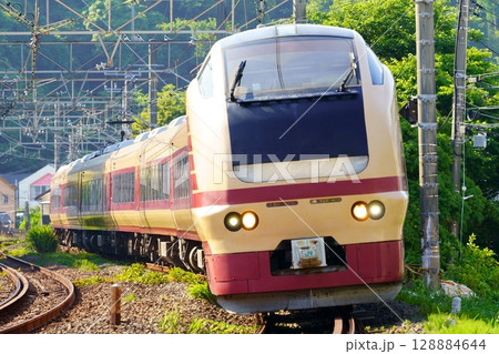 E653系・疑似国鉄色、関東の臨時特急として活躍 128884644