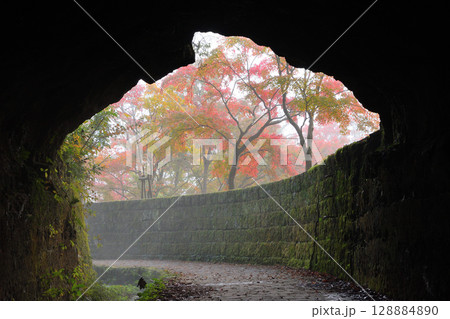 秋の曽木の滝 128884890