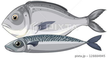 Realistic Vector Illustration of Two Fish Species 128884945