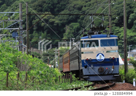 かつてブルートレインが行き交った東海道本線を横目に走り去るブルートレイン急行_2025/7/20撮影 128884994