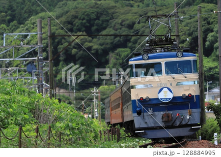 かつてブルートレインが行き交った東海道本線を横目に走り去るブルートレイン急行_2025/7/20撮影 128884995