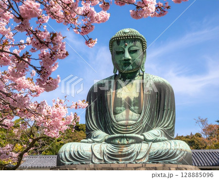 桜と大仏:日本の春を感じる穏やかな風景 桜と大仏:日本の春を感じる穏やかな風景 128885096