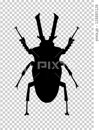Stag beetle silhouette illustration 128885126