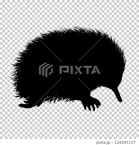 Echidna silhouette illustration 128885137