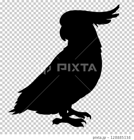 Sulphur-crested Cockatoo Silhouette Illustration 128885138