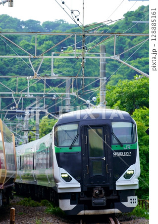 特急鎌倉満喫青梅号への送り込み回送・E257系 128885161