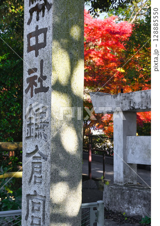 鎌倉宮の美しい紅葉（神奈川県鎌倉市） 128885550