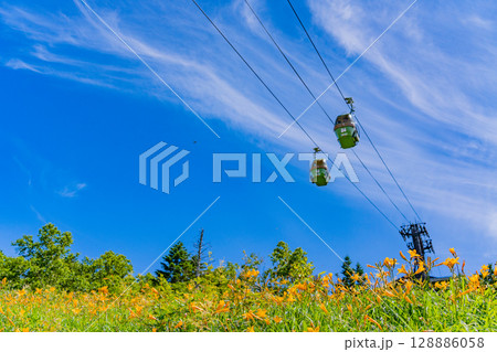 （長野県）志賀高原・ニッコウキスゲ咲く東館山高山植物園 128886058
