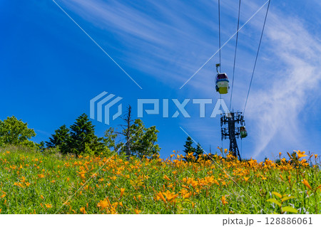 （長野県）志賀高原・ニッコウキスゲ咲く東館山高山植物園 128886061