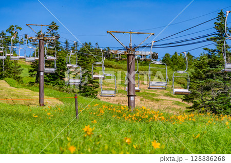 （長野県）志賀高原・渋峠のリフトとニッコウキスゲ 128886268