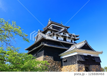 【島根県】快晴の松江城天守閣（国宝） 128886468