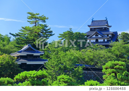 【島根県】快晴の松江城天守閣と南櫓（国宝） 128886488
