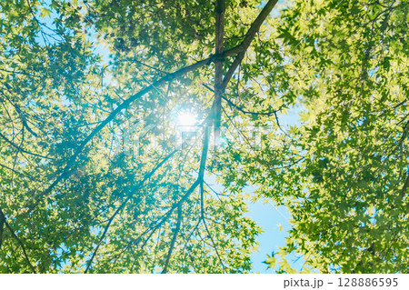 奈良の岡寺の美しい風景 128886595