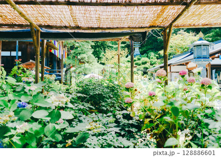 奈良の岡寺の美しい風景 奈良の岡寺の美しい風景 128886601