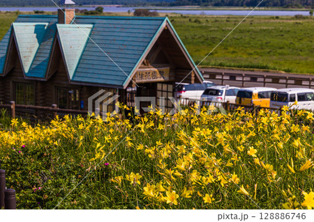 【北海道_小清水原生花園】自然のお花畑を楽しめる北海道屈指の原生花園 128886746