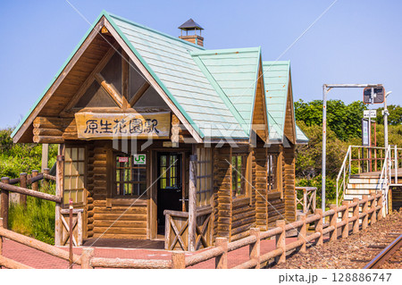 【北海道_小清水原生花園】自然のお花畑を楽しめる北海道屈指の原生花園 128886747