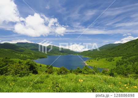 初夏の野反湖とノゾリキスゲ(ニッコウキスゲ) 初夏の野反湖とノゾリキスゲ(ニッコウキスゲ) 128886898