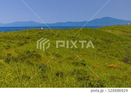 【北海道_小清水原生花園】自然のお花畑を楽しめる北海道屈指の原生花園 128886929