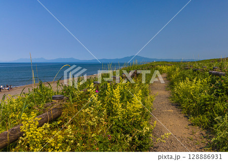 【北海道_小清水原生花園】自然のお花畑を楽しめる北海道屈指の原生花園 128886931