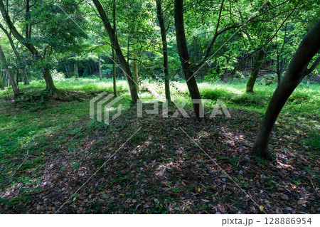 【世界遺産 石見銀山遺跡とその文化的景観】初夏の清水谷精錬所選鉱場跡5 島根県大田市 【世界遺産 石見銀山遺跡とその文化的景観】初夏の清水谷精錬所選鉱場跡5 島根県大田市 128886954