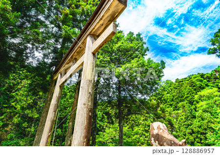 【世界遺産 石見銀山遺跡とその文化的景観】鳥居と狛犬の後ろ姿 島根県大田市 【世界遺産 石見銀山遺跡とその文化的景観】鳥居と狛犬の後ろ姿 島根県大田市 128886957