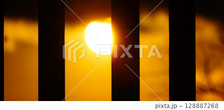 秋の日に立木の陰から見た夕陽 秋の日に立木の陰から見た夕陽 128887268