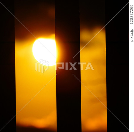 秋の日に立木の陰から見た夕陽 128887269