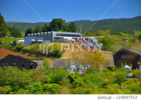 中部地方・三島スカイウォーク・吊り橋ゲートの建物とスカイガーデンの眺め・静岡県三島市(3) 128887552