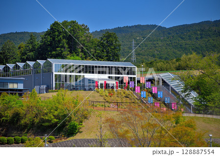 中部地方・三島スカイウォーク・見て回ると楽しいスカイガーデン・静岡県三島市(1) 128887554