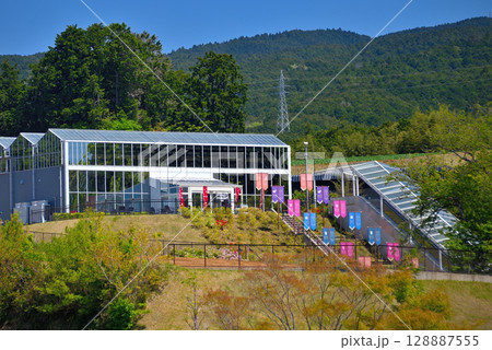 中部地方・三島スカイウォーク・見て回ると楽しいスカイガーデン・静岡県三島市(2) 128887555