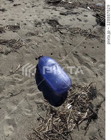 海で流れ着いたゴミ 海で流れ着いたゴミ 128887829