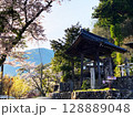 桜に包まれたお寺 128889048