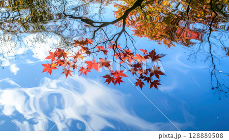 静かな水面に映り込んだ鮮やかな紅葉と青空が織りなす美しい秋の情景 静かな水面に映り込んだ鮮やかな紅葉と青空が織りなす美しい秋の情景 128889508