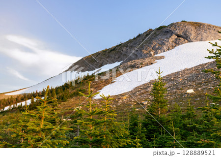 Mountain slope in snow and spruce forest in sunset light. Mountain slope in snow and spruce forest in sunset light. 128889521
