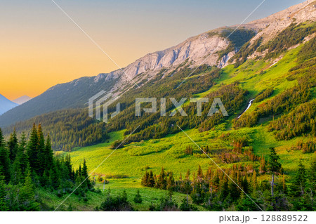 Alpine meadows and forest on mountain slopes in sunset light. Alpine meadows and forest on mountain slopes in sunset light. 128889522