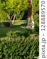 Backyard of a private house 128889570