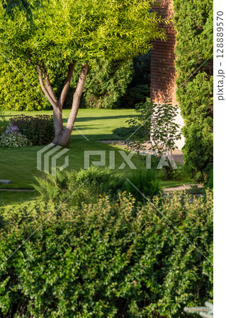 Backyard of a private house 128889570
