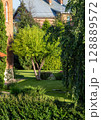 Backyard of a private house 128889572