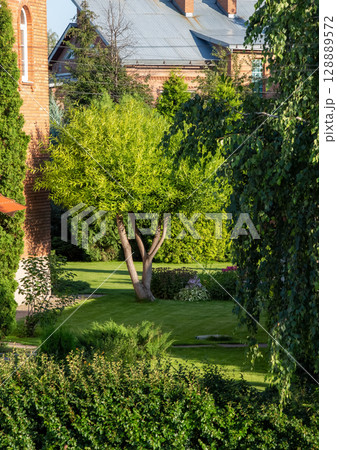 Backyard of a private house 128889572