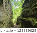 支笏湖　苔の回廊 128889825