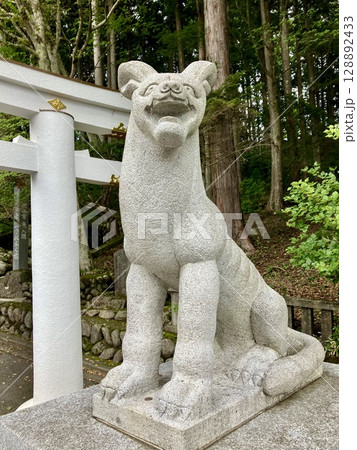三峯神社のお犬様 三峯神社のお犬様 128892433