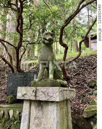 三峯神社のお犬様 三峯神社のお犬様 128892440